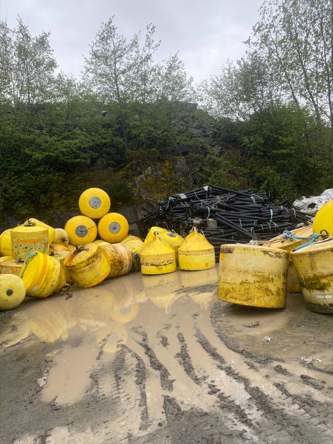 Mooring Buoys MOWI Canada West Used Sales